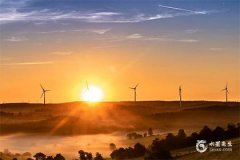 73年牛女最旺顏色，73年屬牛52歲有一災