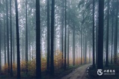 2001年屬蛇今年財運怎麼樣？2001年屬蛇2025年佩戴什麼最旺？