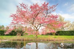 能爱金牛女一辈子的星座，这四个星座爱到发疯