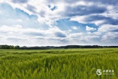 今年屬鼠的要佩戴什麼比較好2025？2025年屬鼠要註意什麼？