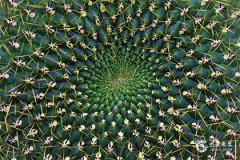 2025屬雞的大忌顏色，2025屬雞的佩戴什麼最旺？