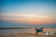 1971年屬豬今年財運如何？1971年屬豬2025年財運方位