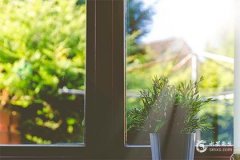 2022年属兔下半年要出大事吗具体运势如何