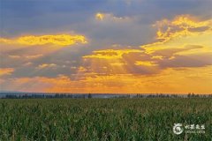 2023年5月16日五行穿衣指南 5月16日穿什么颜色的衣服