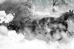 2025年屬馬的財運和運氣如何？2025年屬馬人的財神方位