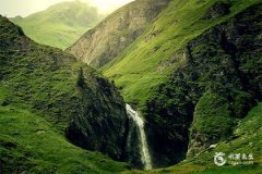 88年龍財運最旺的幾年：2025年、2028年、2029年、2032年