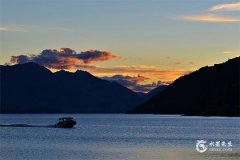 乌龟最旺三种人：属羊人、属兔人、属鼠人