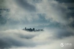 命运之轮正位爱情走向