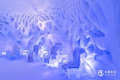 97屬牛的最忌三個屬相：屬馬、屬羊、屬狗