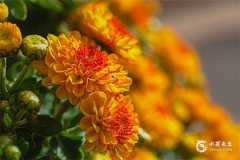 属兔人在2023年闰二月出生好吗，运势有何宜忌？