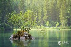 水瓶座的四个孽缘星座，命中注定的纠缠关系