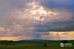 1993年屬雞三大劫難，1993年屬雞是什麼命？