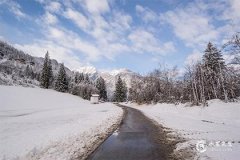 1983年属猪人哪一年才开始走大运