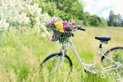 12月運氣很差怎麽辦？12月的紀念日有哪些？