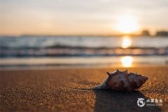 补水最旺的字，补水最吉利的6个字