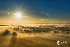 太阳正位：解读对方爱情牌阵中的情感态度