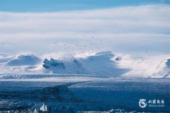 午时出生的女生婚姻不好 女孩为什么午时最好属猪