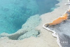 2025屬雞血光之災，2025屬雞人躲不過去的大難