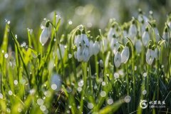 黄道吉日歌诀查询，择日必背口诀