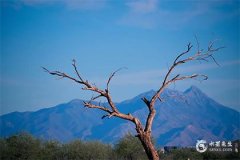 子时出生男命必有大功名，为什么很少人出生在子时？