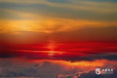 2025年屬豬的財運和運氣如何？2025年屬豬人的財神方位