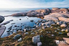 精選2025年早上生的女孩名字大全