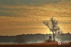 2025年蛇寶寶下午生適宜性與父母屬相分析