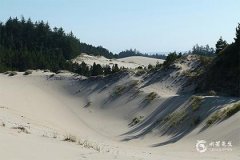 老公本命年龙年送什么礼物