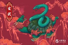 属蛇人后半生会离婚吗？2023年蛇今年有一难？