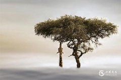 2025年蛇寶寶淩晨三點出生：如何起吉祥屬相名