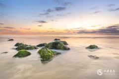 2024年龙的本命年运势怎么样