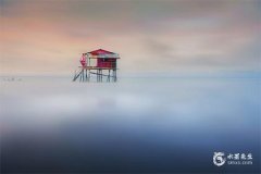 屬豬人不能住的樓層，屬豬住東戶還是西戶最旺