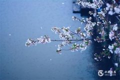 2022年11月運勢不順怎麽破解，事業運勢不好怎麽辦？