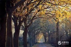 本命年躲星是什么意思 躲星的作用