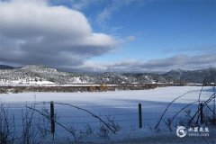 1995属猪和1996年属鼠相配吗？水火不容，矛盾重重！