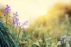 失去金牛座会疯的星座，他们最害怕失去金牛女的星座男