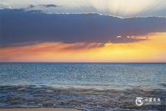 男兔女兔結婚的大忌，屬兔人最佳婚配屬相