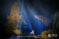 1972年属鼠和1978年属马的婚姻配对分析