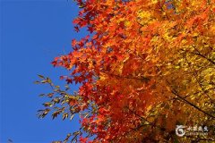 48歲本命年的大忌，48歲本命年的吉祥物有哪些？