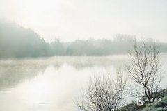 73年牛哪年轉大運