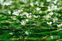 与金牛女交往的大忌，金牛座女生喜欢什么样的男生？