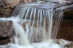 2025年蛇寶寶中午11點17出生 