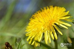 2024年臘月最吉利的日子一覽表