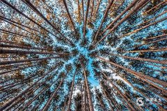 与双子女交往的大忌，双子座女生的性格与脾气