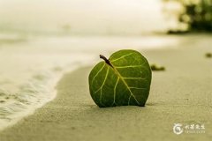 与处女女交往的大忌，与处女女天生一对的星座男