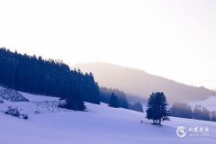 2025年出生五行缺金的男宝取名指南