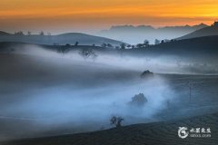 2025白羊最大的惊喜，白羊座最旺的颜色