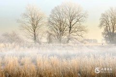 2025年属蛇本命年忌讳什么？属蛇本命年四大禁忌