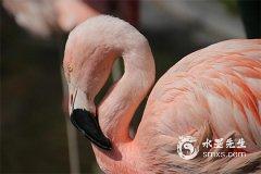 閏四月在五行上屬於什麽？閏四月註意事項