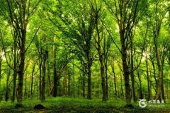 2025年4月五行穿衣查询表 2025年4月五行穿衣指南